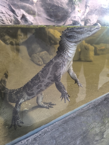 1792405798012