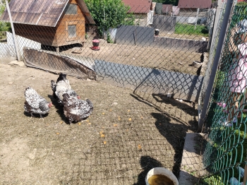 IMG20250618094923