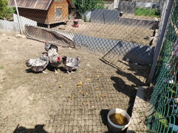 IMG20250618094928