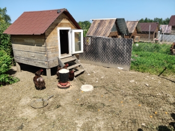 IMG20250618095015