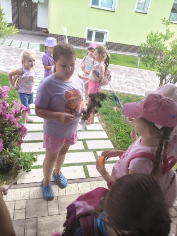 IMG20250625105516