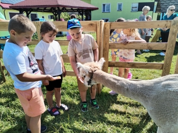 Messenger_creation_861584C8-D09F-46D2-A7F3-60F9124293B4.jpeg