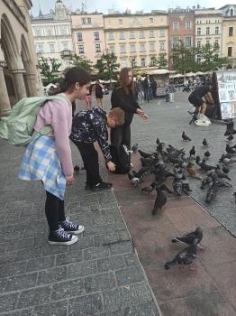 IMG_20250603_151732