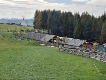 c243979a-1def-4bb5-8843-a70f0c38b403.jfif