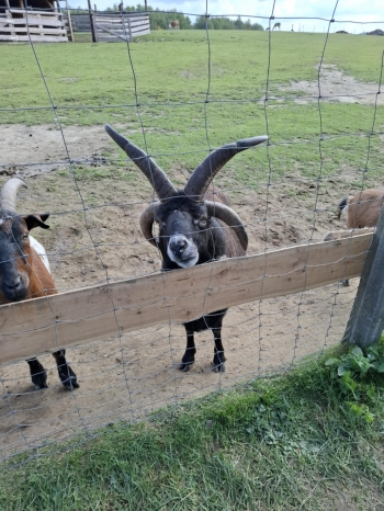 50e78327-1465-4917-bcee-65c9ba319d2c.jfif