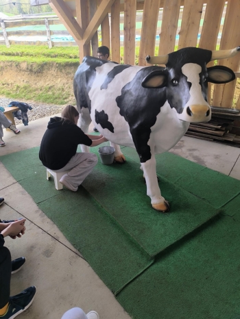 f3cd2913-57b5-4299-8d32-171f894c2aa2.jfif