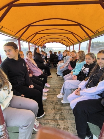 1fd2251b-58b4-452c-8c25-0f0bbb63bc0e.jfif