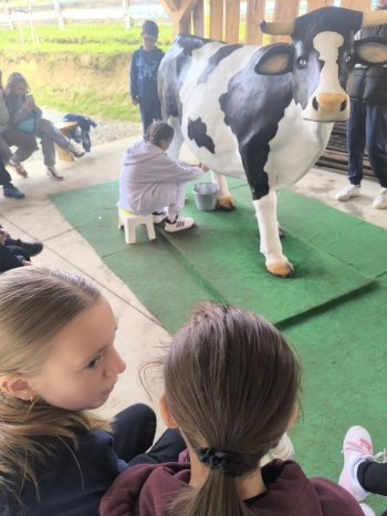 7dac3caa-d776-4376-8218-84264024a259.jfif