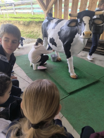 edddbd97-f2e8-4c0e-9418-7a654b16b2ae.jfif