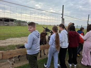 c980d206-e03f-4571-bcda-eaee3fe0d7e6.jfif