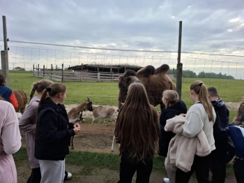 84f72961-8fd5-4005-9251-89335d2db955.jfif