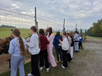 ac3157ae-a52f-4f6e-accb-407f84b45333.jfif