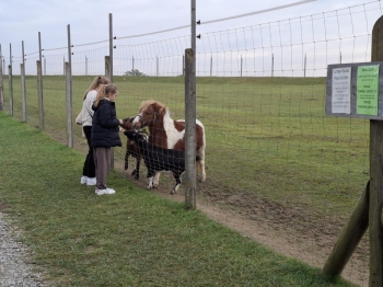 d8464118-d325-4da5-828a-3f6b9856930f.jfif