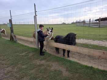 97cd2606-fbe4-4d02-a57a-bcff2afc0689.jfif