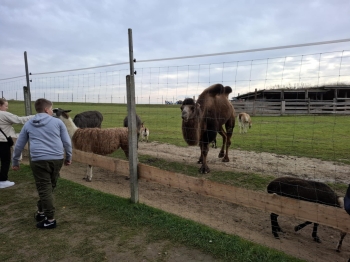 9de9392b-033b-41cb-a5d1-865d986fe251.jfif