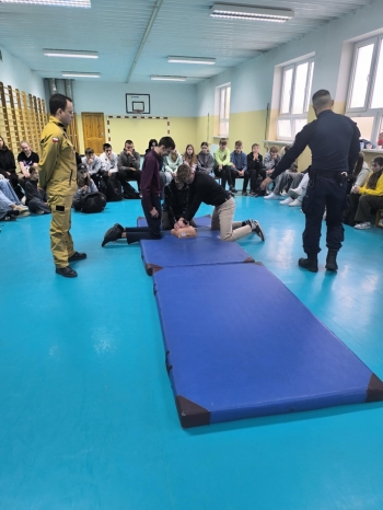 dae59819-d357-42fa-8fcc-2ffe18e1c342.jfif