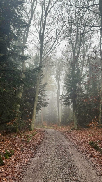 5bcd6f0c-16d7-4925-9291-eb4316f59dc3.jfif