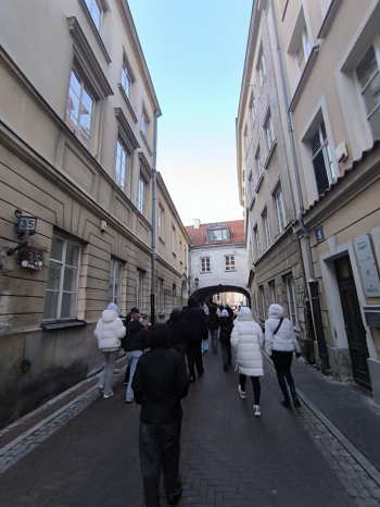 5ccc9608-9ca9-4734-b209-474eb519de65.jfif