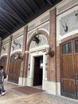 IMG_3368.jpeg