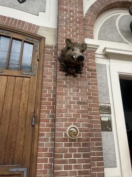 IMG_3372.jpeg