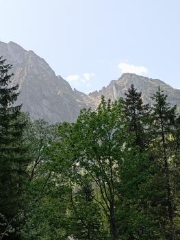 IMG_20260527_105601