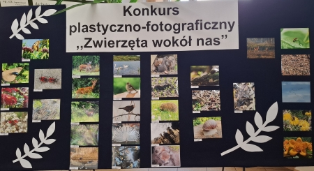 Podsumowanie konkursu plastyczno – fotograficznego  „Zwierzęta wokół nas”