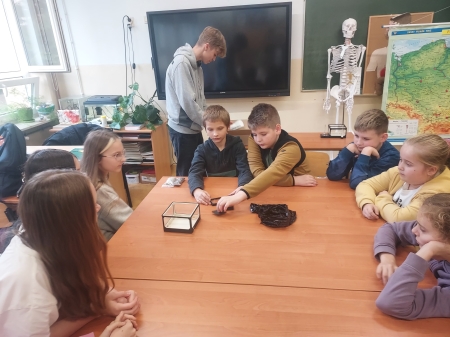 Nowa atrakcja w Klubie Ekologa-hodowla mrówek!